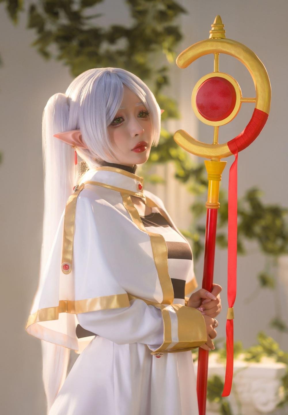 落花网