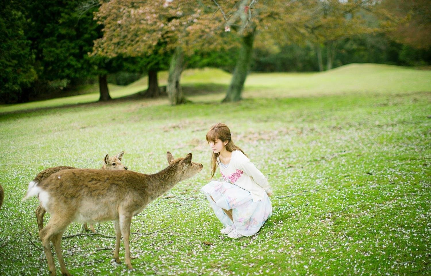 WRITE.AS ������ʦ