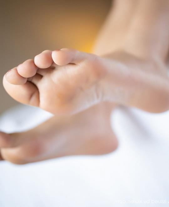 ��ɫ����